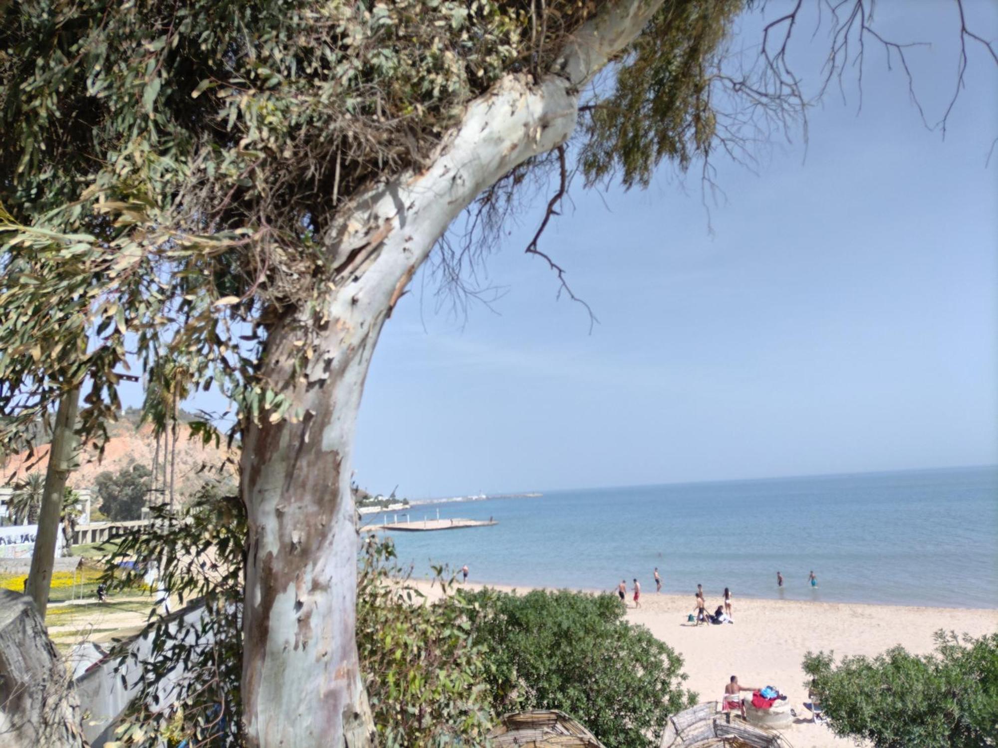 Marsa - Sidi Bousaid Lovely Authentic Apartment La Marsa Zewnętrze zdjęcie